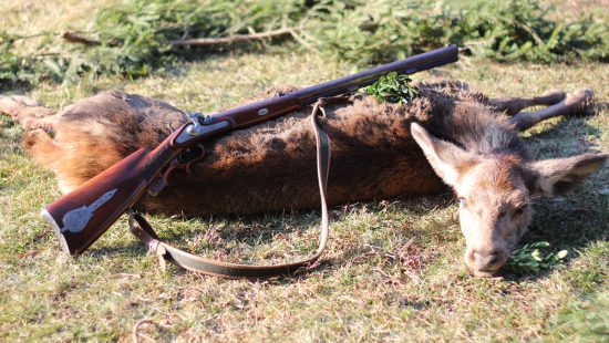 Új vadászati törvény – az elötöltő fegyveres vadászat megjelent a koncepciót leíró anyagban!