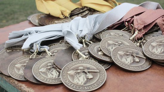 2014. évi nemzetközi versenyszámok OB-ja – 2014. szept. 13. Gyál