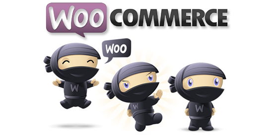 Woo commerce – WordPress szakembert keresünk