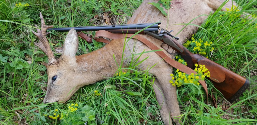 A 11 mm Mauser tette a dolgát: gyorsan, a lehető legkisebb szenvedéssel ölt.